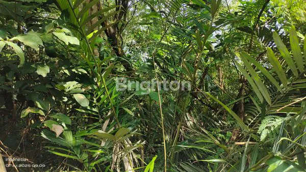 image TANAH INVESTASI STRATEGIS DI JL. CILENGGANG RAYA, SERPONG - LUAS 3.700 M2, AKSES TOL MUDAH (4)