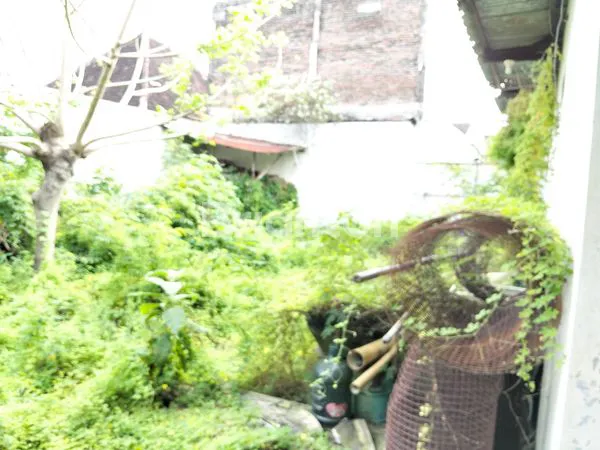 image RUMAH DIJUAL DENGAN NOHARGA TANAH (4)