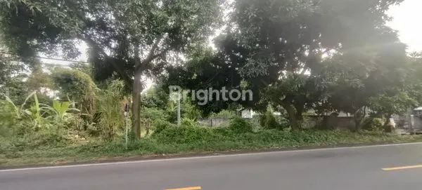image TANAH DI JALUR UTAMA SERIRIT-GILIMANUK, DEKAT PANTAI DAN KAWASAN INDUSTRI (8)