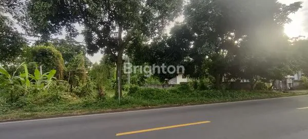 image TANAH DI JALUR UTAMA SERIRIT-GILIMANUK, DEKAT PANTAI DAN KAWASAN INDUSTRI (6)