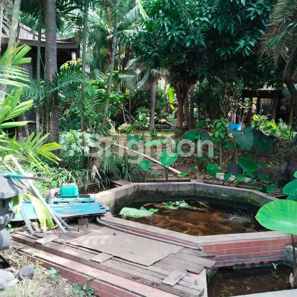 image RUMAH ASRI  (5)