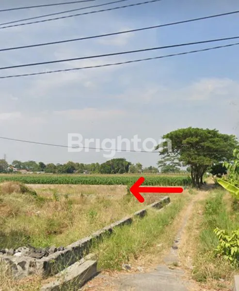 image TANAH ISTIMEWA DI NGEMPLAK, KARTASURA, SUKOHARJO  (1)