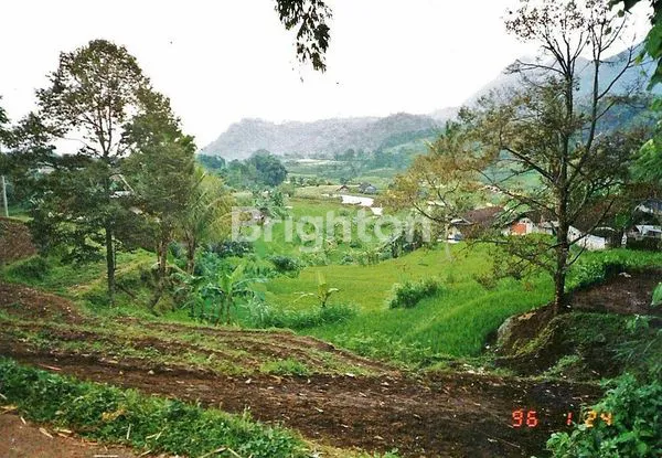 image TANAH VILLA (2)