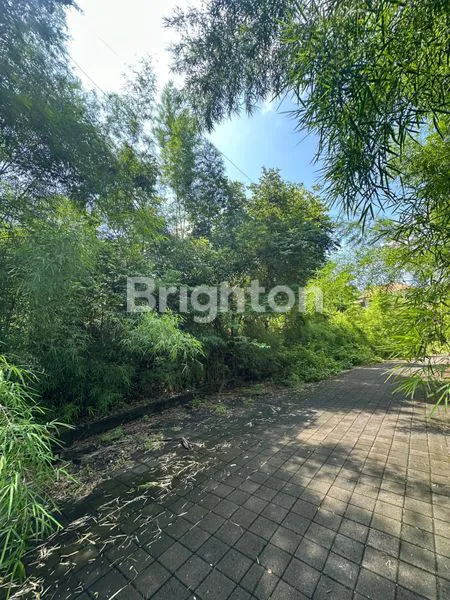 image  TANAH PREMIUM DI KAWASAN VILLA KEBO IWA (1)