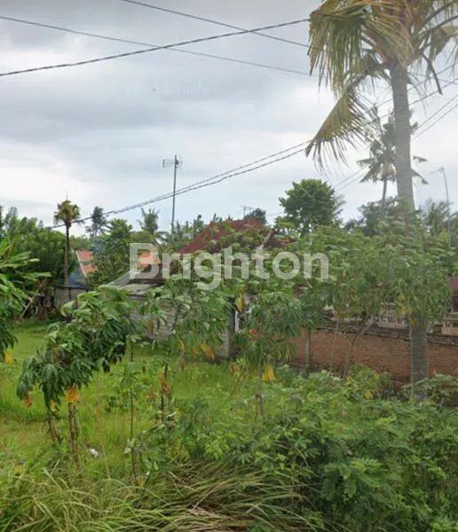 image TANAH KAVLING SIAP HUNI NEGARA JEMBRANA,BALI (1)
