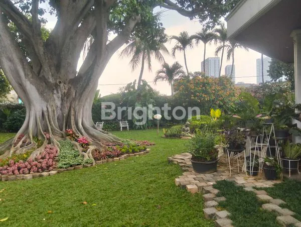 image RUMAH DENGAN TAMAN LUAS BERIKUT GALERI BARANG ANTIK CILANDAK (7)