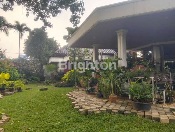 image RUMAH DENGAN TAMAN LUAS BERIKUT GALERI BARANG ANTIK CILANDAK (6)