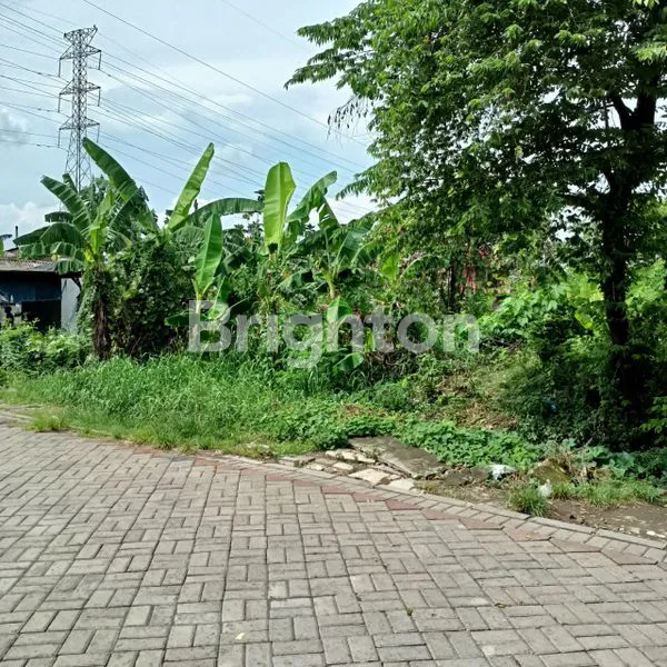 image TANAH SAMBISARI LONTAR SURABAYA (2)