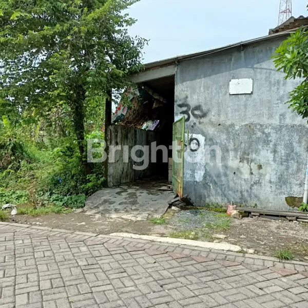 image TANAH SAMBISARI LONTAR SURABAYA (4)