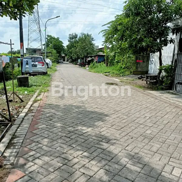 image TANAH SAMBISARI LONTAR SURABAYA (3)