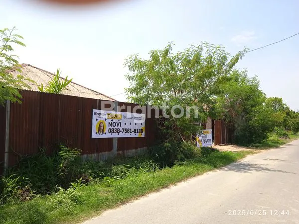 image TANAH KERAS DI TANJUNG MORAWA (2)