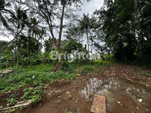 image INVESTASI EMAS TANAH ITR KUNING VIEW SUNGAI & HUTAN ALAMI DI JANTUNG UBUD, KEMENUH (8)