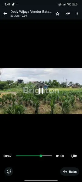 image TANAH KERAS DI TANJUNG MORAWA (6)