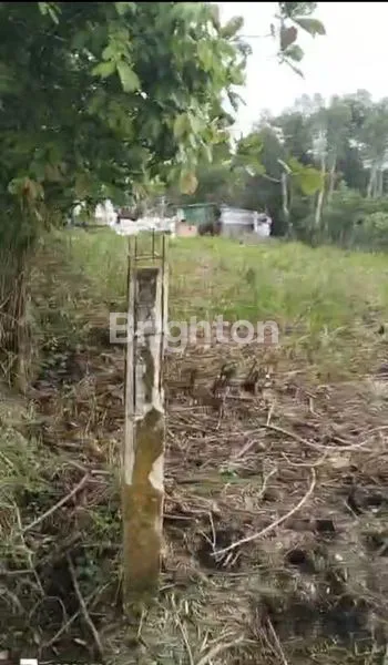 image LAHAN KOSONG SIAP DIGARAP  (2)