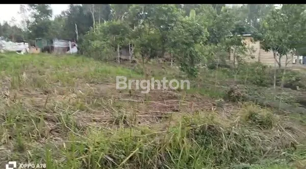 image LAHAN KOSONG SIAP DIGARAP  (3)