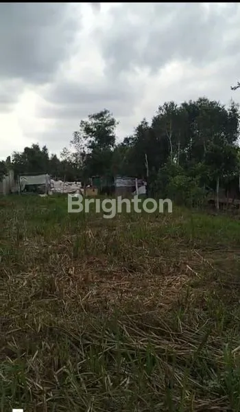 image LAHAN KOSONG SIAP DIGARAP  (1)