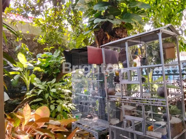 image DIJUAL RUMAH DI KETINTANG MADYA SURABAYA SELATAN (2)