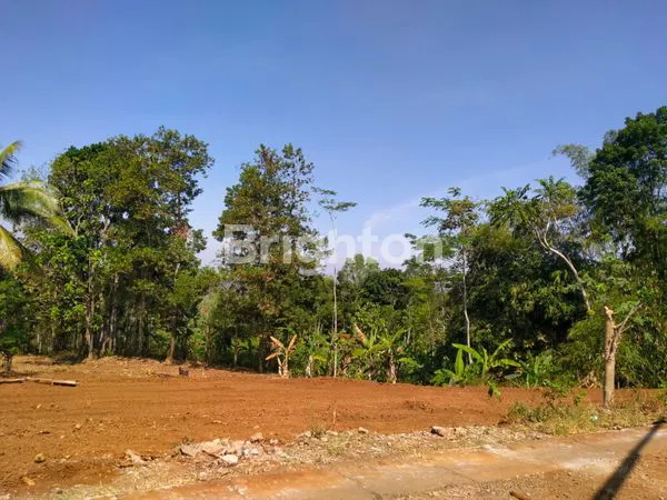 image TANAH MURAH STRATEGIS DI JALAN MR. KOESBIYONO TJONDROWIBOWO, SEMARANG (1)