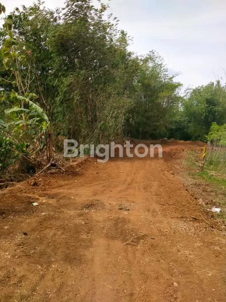 image TANAH MURAH STRATEGIS DI JALAN MR. KOESBIYONO TJONDROWIBOWO, SEMARANG (2)