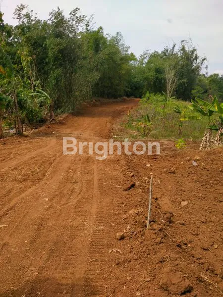 image TANAH MURAH STRATEGIS DI JALAN MR. KOESBIYONO TJONDROWIBOWO, SEMARANG (3)