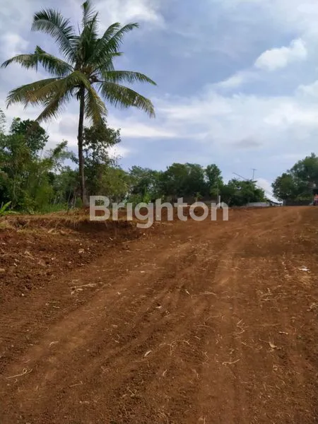 image TANAH MURAH STRATEGIS DI JALAN MR. KOESBIYONO TJONDROWIBOWO, SEMARANG (4)