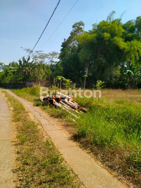 image TANAH MURAH STRATEGIS DI JALAN MR. KOESBIYONO TJONDROWIBOWO, SEMARANG (5)