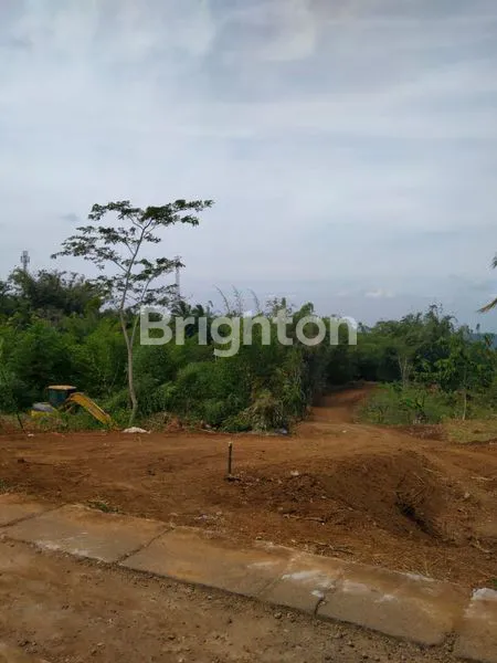 image TANAH MURAH STRATEGIS DI JALAN MR. KOESBIYONO TJONDROWIBOWO, SEMARANG (7)