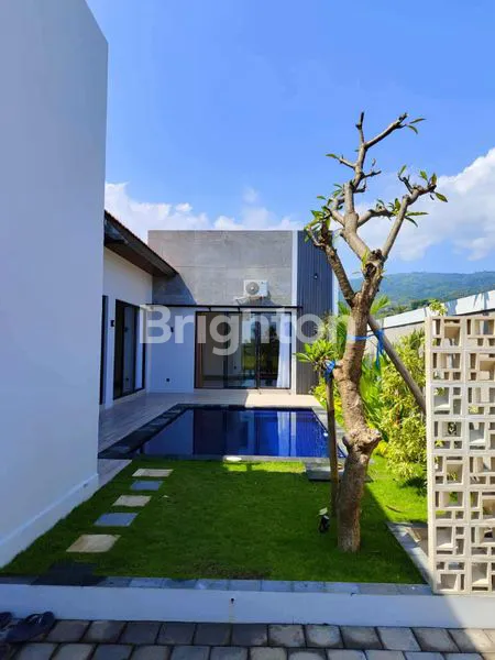 NEW BEAUTIFUL RICE FIELD VILLA AT LOVINA, BULELENG, BALI