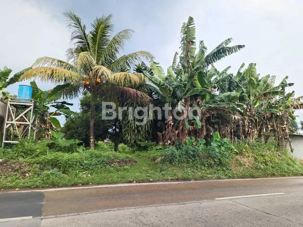 image TANAH STRATEGIS 858M2 DI JL. KRACAK, RANCA BUNGUR BOGOR HARGA TERJANGKAU (1)