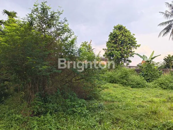 image TANAH STRATEGIS 858M2 DI JL. KRACAK, RANCA BUNGUR BOGOR HARGA TERJANGKAU (4)