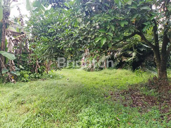 image TANAH STRATEGIS 858M2 DI JL. KRACAK, RANCA BUNGUR BOGOR HARGA TERJANGKAU (5)