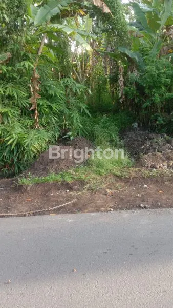 TANAH MURAH DI TABANAN