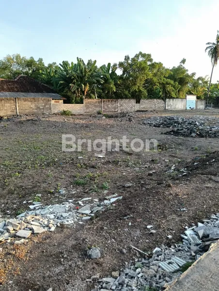 image TANAH DI TEPI PANTAI LOVINA BALI (2)