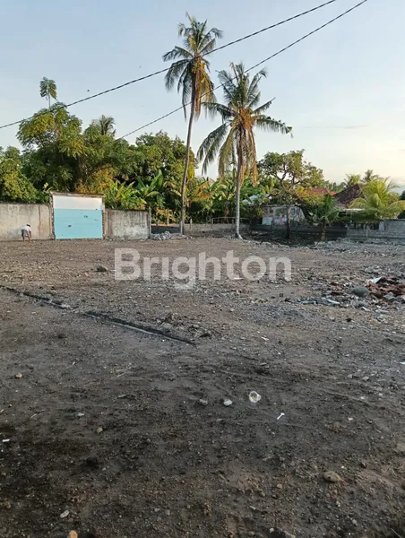 image TANAH DI TEPI PANTAI LOVINA BALI (7)