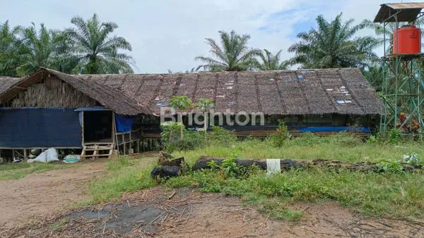 image JUAL TANAH SUPER CUAN (2)