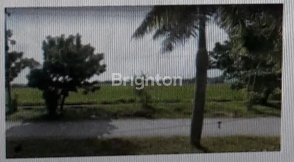 image JUAL TANAH LOKASINYA STRATEGIS DI INDRAMAYU (2)