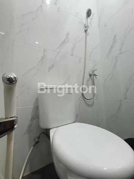 image GREEN SAMARA BINTARO (4)