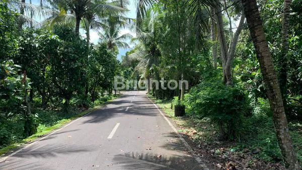 image TANAH KOSONG 1HA GULINGAN MENGWI (6)