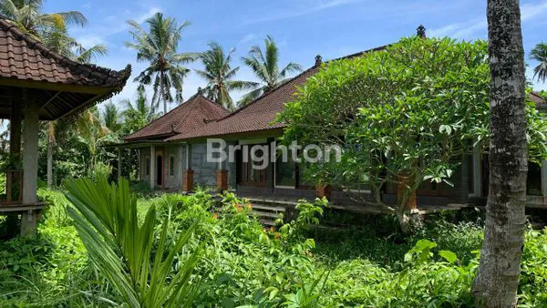 image TANAH KOSONG 1HA GULINGAN MENGWI (8)