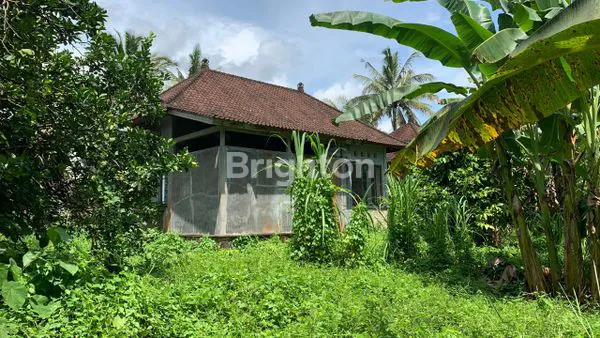 image TANAH KOSONG 1HA GULINGAN MENGWI (3)