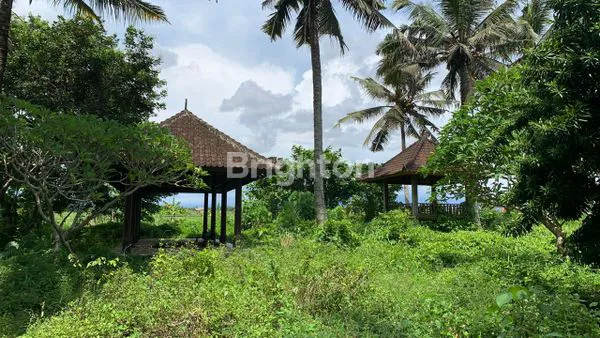 image TANAH KOSONG 1HA GULINGAN MENGWI (2)