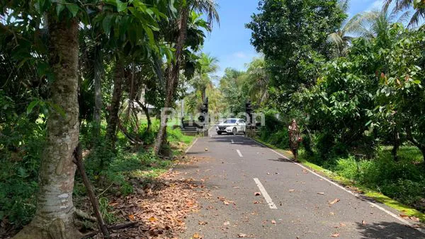 image TANAH KOSONG 1HA GULINGAN MENGWI (7)