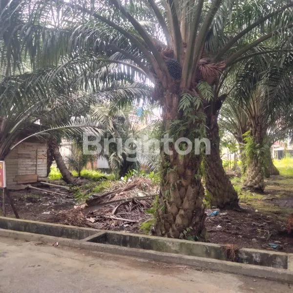 image DI JUAL TANAH  (2)