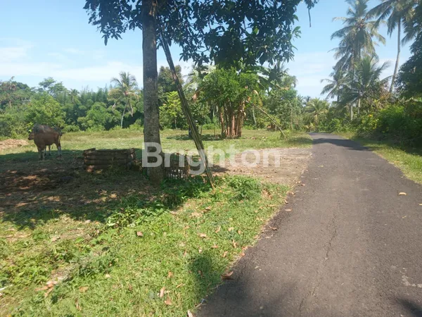 DIJUAL TANAH PERKEBUNAN LUAS MURAH