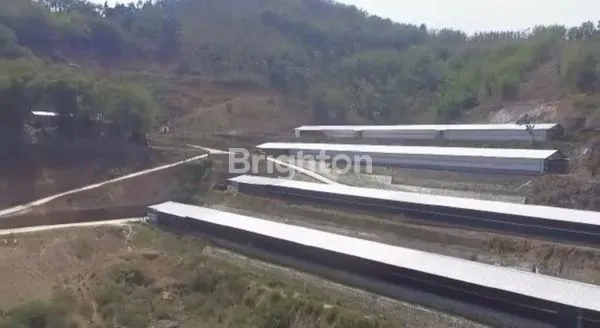 image KANDANG AYAM SIAP PRODUKSI 11 HA DI GARUT, COCOK UNTUK INVESTASI PETERNAKAN BESAR (3)