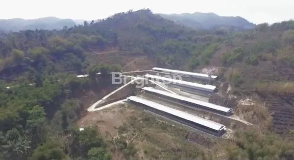 image KANDANG AYAM SIAP PRODUKSI 11 HA DI GARUT, COCOK UNTUK INVESTASI PETERNAKAN BESAR (2)