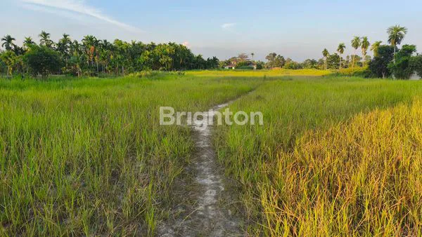image LAHAN KOSONG STRATEGI DI YOS SUDARSO (1)