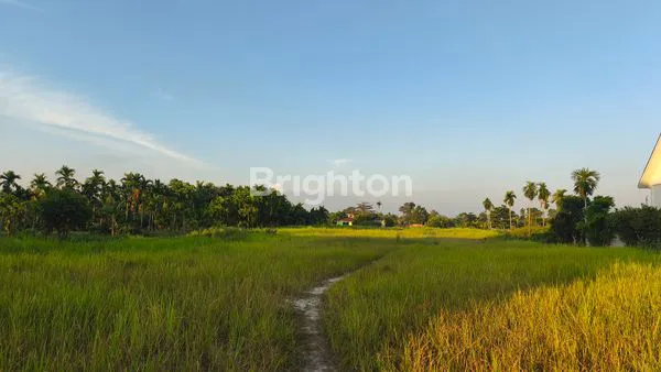 image LAHAN KOSONG STRATEGI DI YOS SUDARSO (2)