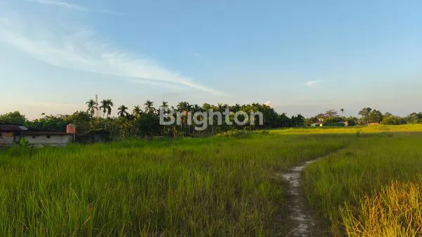 image LAHAN KOSONG STRATEGI DI YOS SUDARSO (4)