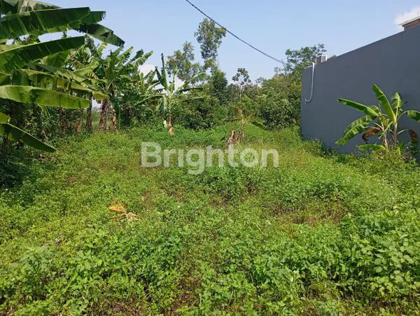 image TANAH SIAP BANGUN DILOKASI BERKEMBANG KEDUNGPANE, NGALIYAN SEMARANG  (2)